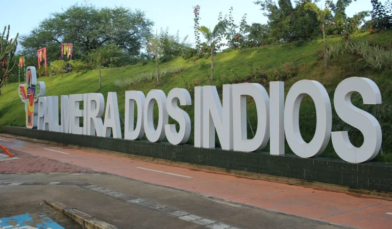 Emancipação de Alagoas: Prefeitura de Palmeira dos